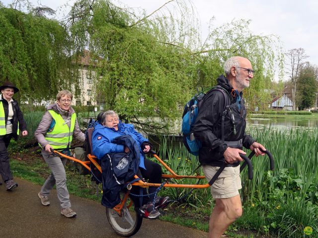 Randonnée joëlettes à Overijse