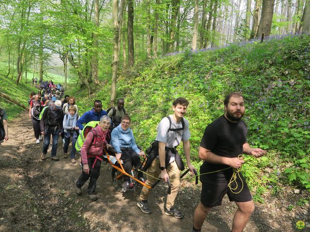 Randonnée joëlettes à Bousval