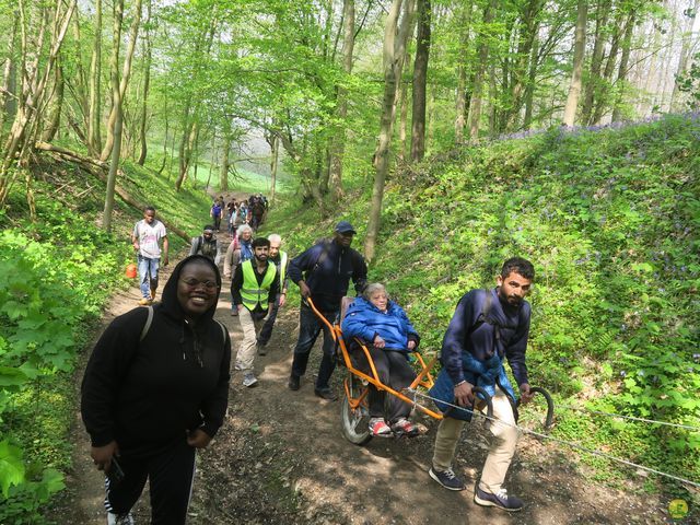 Randonnée joëlettes à Bousval