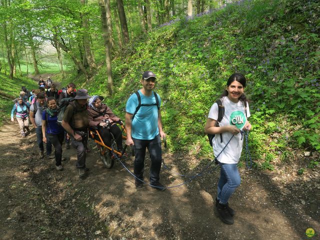 Randonnée joëlettes à Bousval