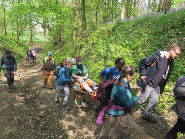 Randonnée joëlettes à Bousval