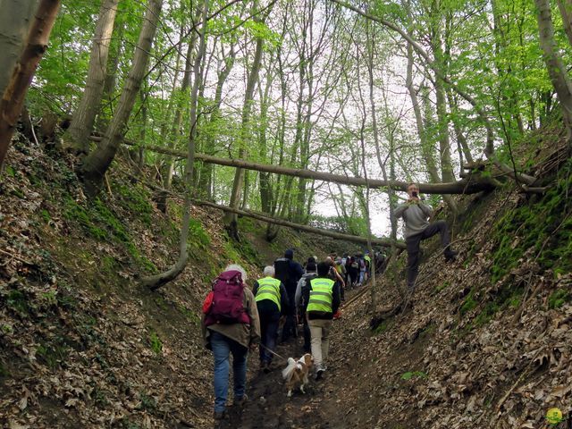 Randonnée joëlettes à Bousval