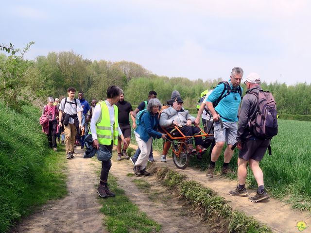 Randonnée joëlettes à Bousval