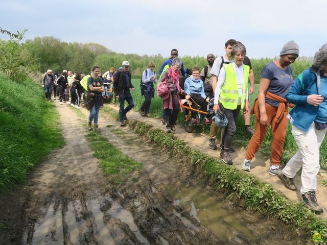 Randonnée joëlettes à Bousval