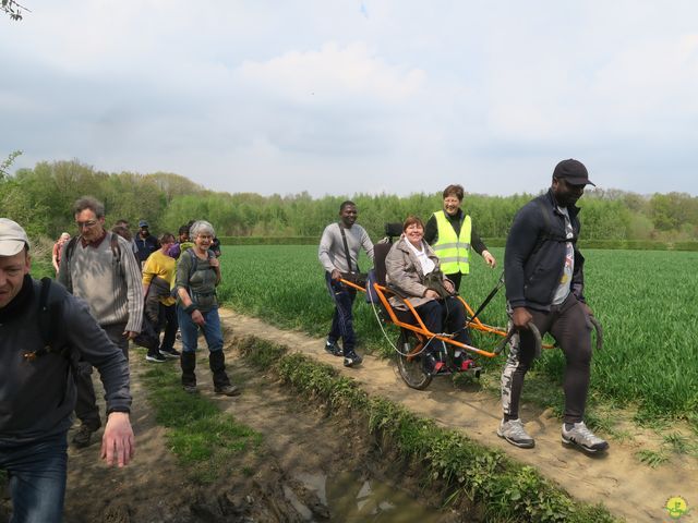 Randonnée joëlettes à Bousval