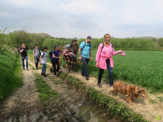 Randonnée joëlettes à Bousval