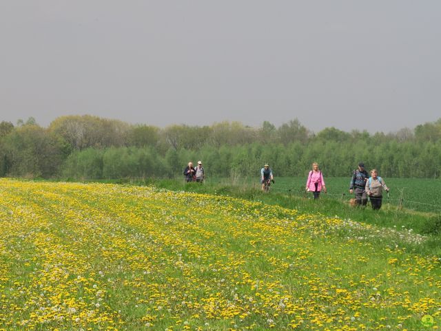 Randonnée joëlettes à Bousval