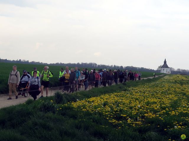 Randonnée joëlettes à Bousval