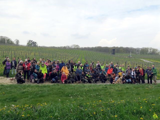 Randonnée joëlettes à Bousval