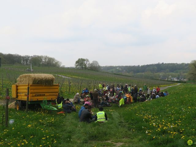 Randonnée joëlettes à Bousval