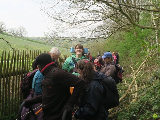 Randonnée joëlettes à Bousval