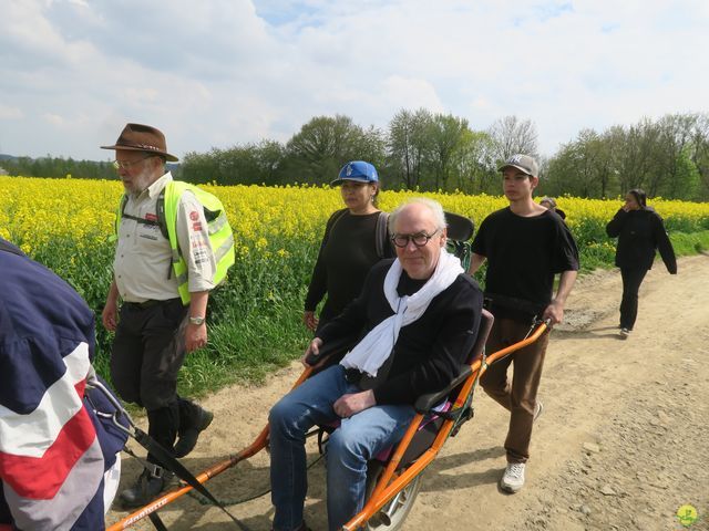 Randonnée joëlettes à Bousval