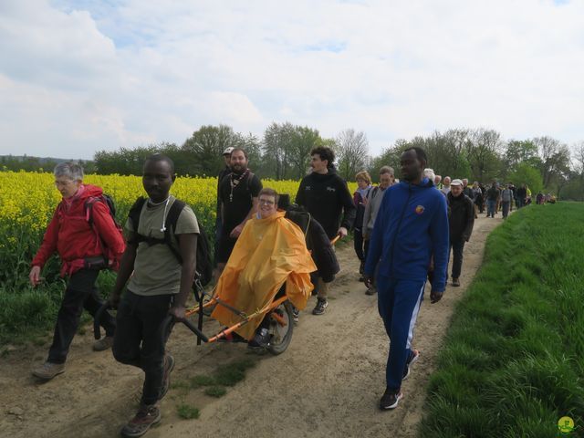 Randonnée joëlettes à Bousval