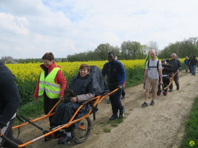 Randonnée joëlettes à Bousval