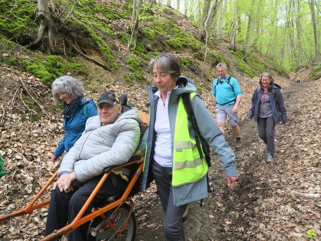 Randonnée joëlettes à Bousval