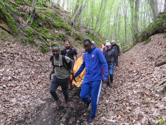 Randonnée joëlettes à Bousval