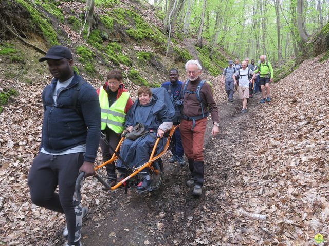 Randonnée joëlettes à Bousval