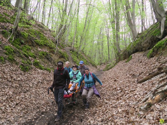 Randonnée joëlettes à Bousval