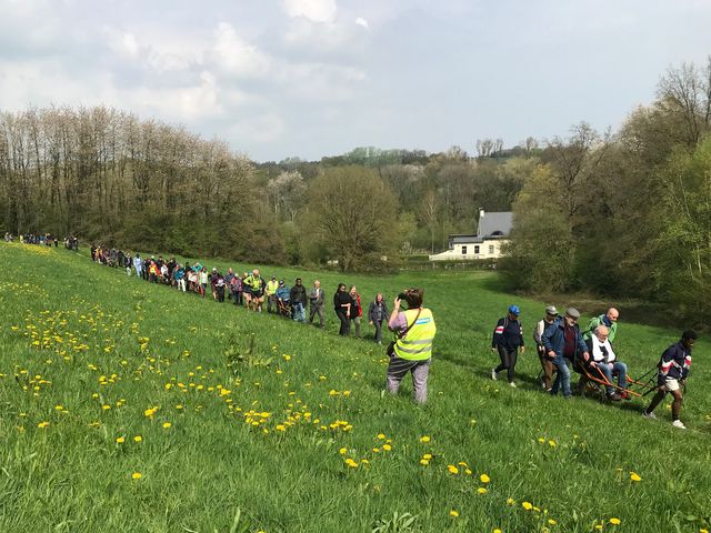 Randonnée joëlettes à Bousval