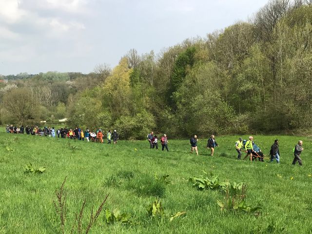 Randonnée joëlettes à Bousval