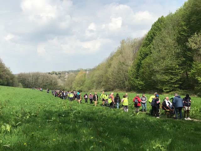 Randonnée joëlettes à Bousval