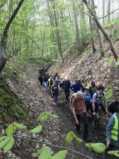 Randonnée joëlettes à Bousval