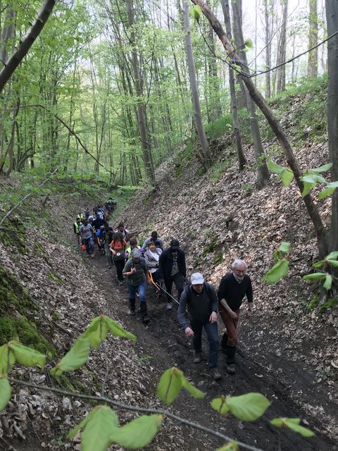 Randonnée joëlettes à Bousval