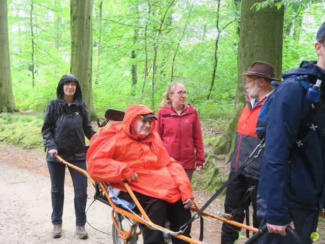 Randonnée joëlettes à Tervuren