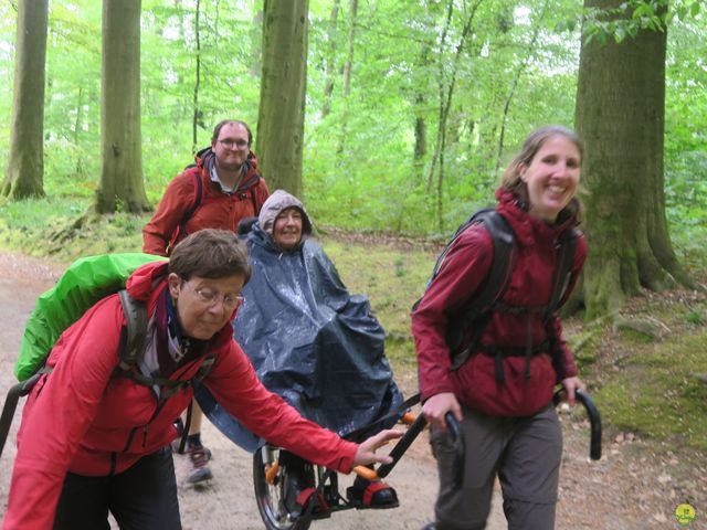 Randonnée joëlettes à Tervuren