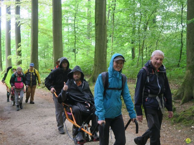 Randonnée joëlettes à Tervuren