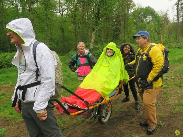 Randonnée joëlettes à Tervuren