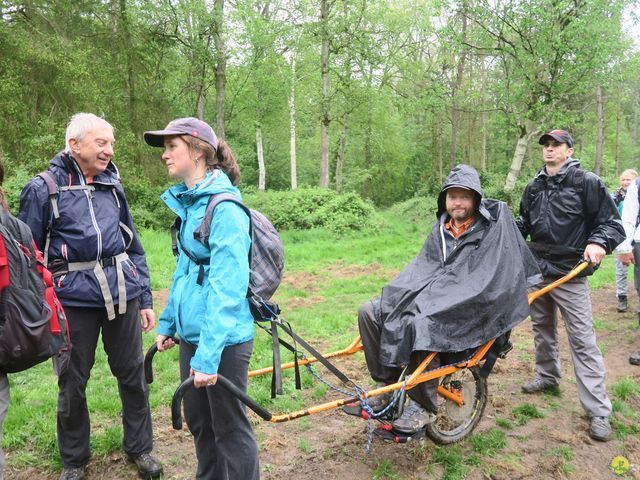 Randonnée joëlettes à Tervuren