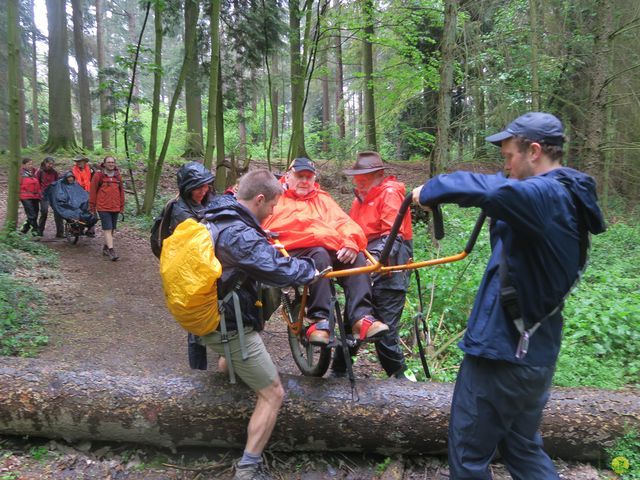 Randonnée joëlettes à Tervuren