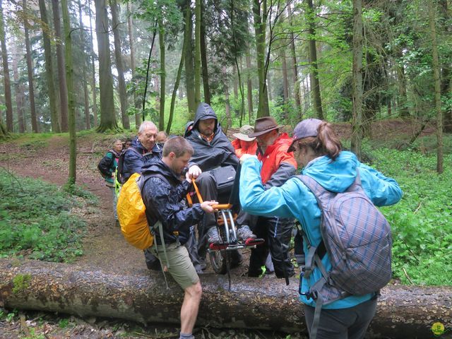 Randonnée joëlettes à Tervuren