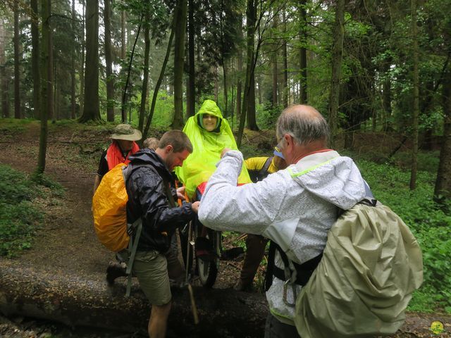 Randonnée joëlettes à Tervuren