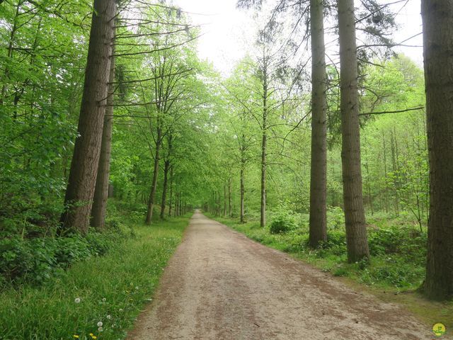 Randonnée joëlettes à Tervuren