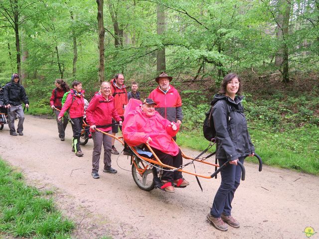 Randonnée joëlettes à Tervuren