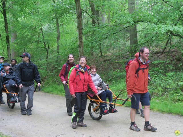 Randonnée joëlettes à Tervuren