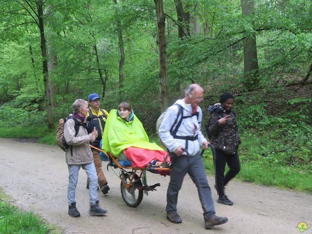 Randonnée joëlettes à Tervuren