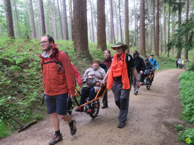 Randonnée joëlettes à Tervuren