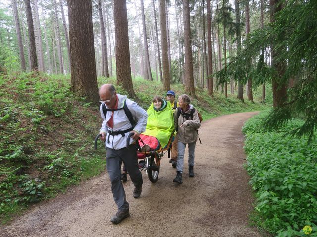 Randonnée joëlettes à Tervuren