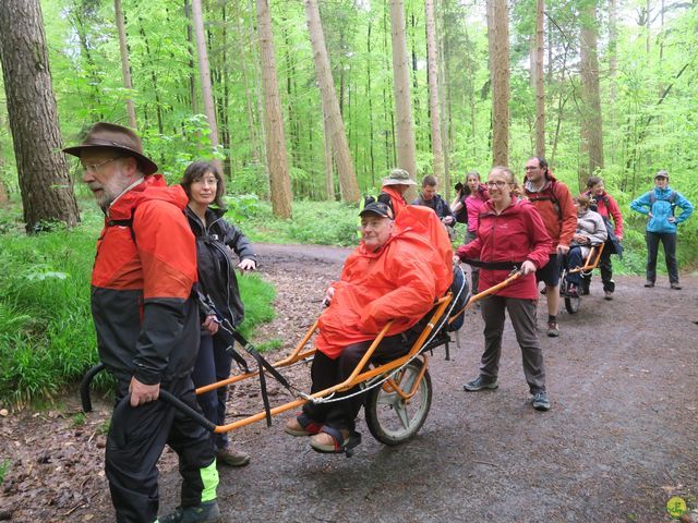 Randonnée joëlettes à Tervuren