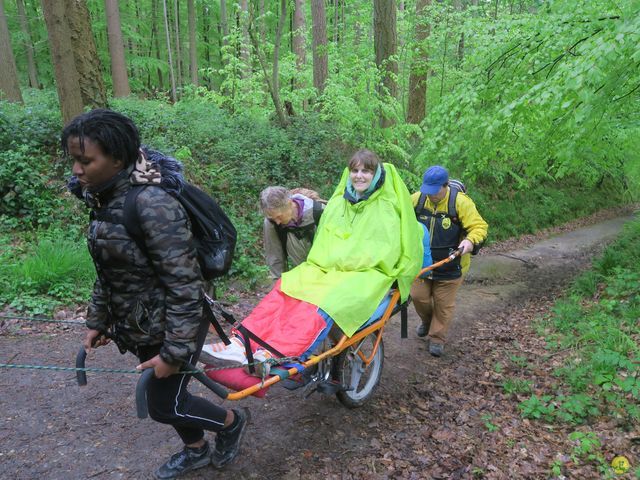 Randonnée joëlettes à Tervuren