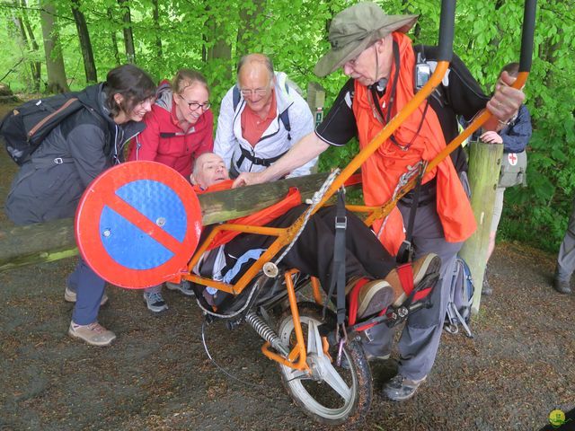 Randonnée joëlettes à Tervuren