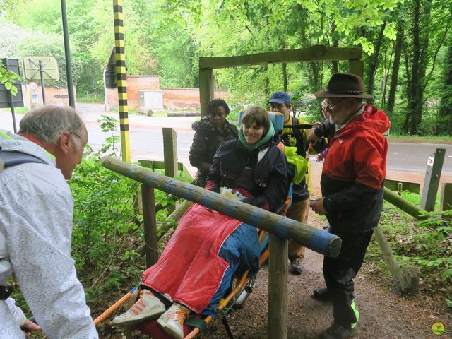 Randonnée joëlettes à Tervuren