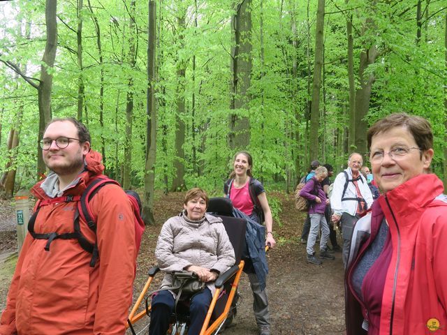 Randonnée joëlettes à Tervuren