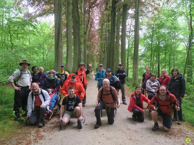 Randonnée joëlettes à Tervuren