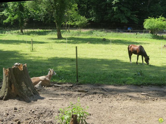 Randonnée joëlettes à Florival