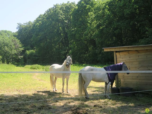 Randonnée joëlettes à Florival