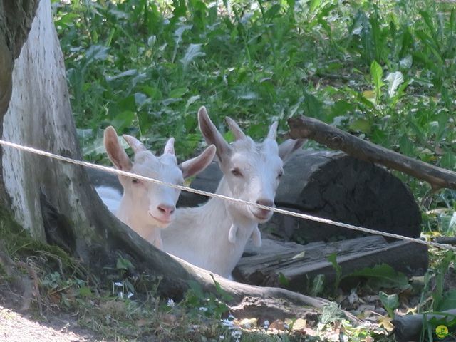 Randonnée joëlettes à Florival